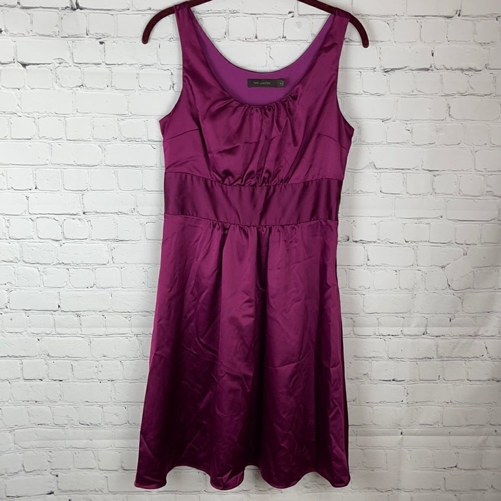 The Limited Satan Purple Dress Size 6